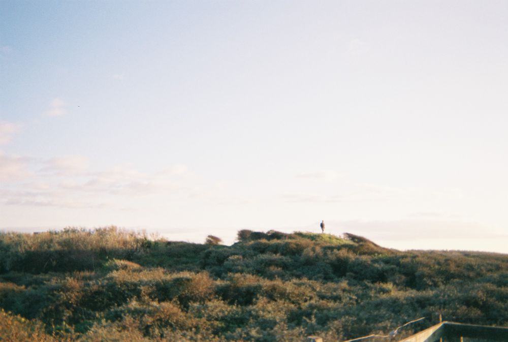 Foto van de duinen in Scheveningen met zonsondergang